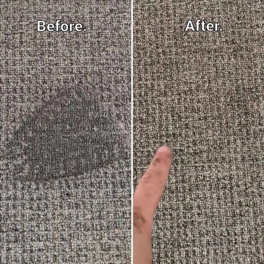 iron burn Carpet Repair